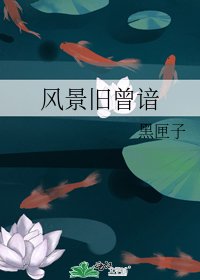 《风景旧曾谙》