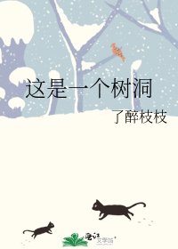 《这是一个树洞》