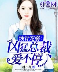 《蚀骨宠溺:凶猛总裁爱不停》